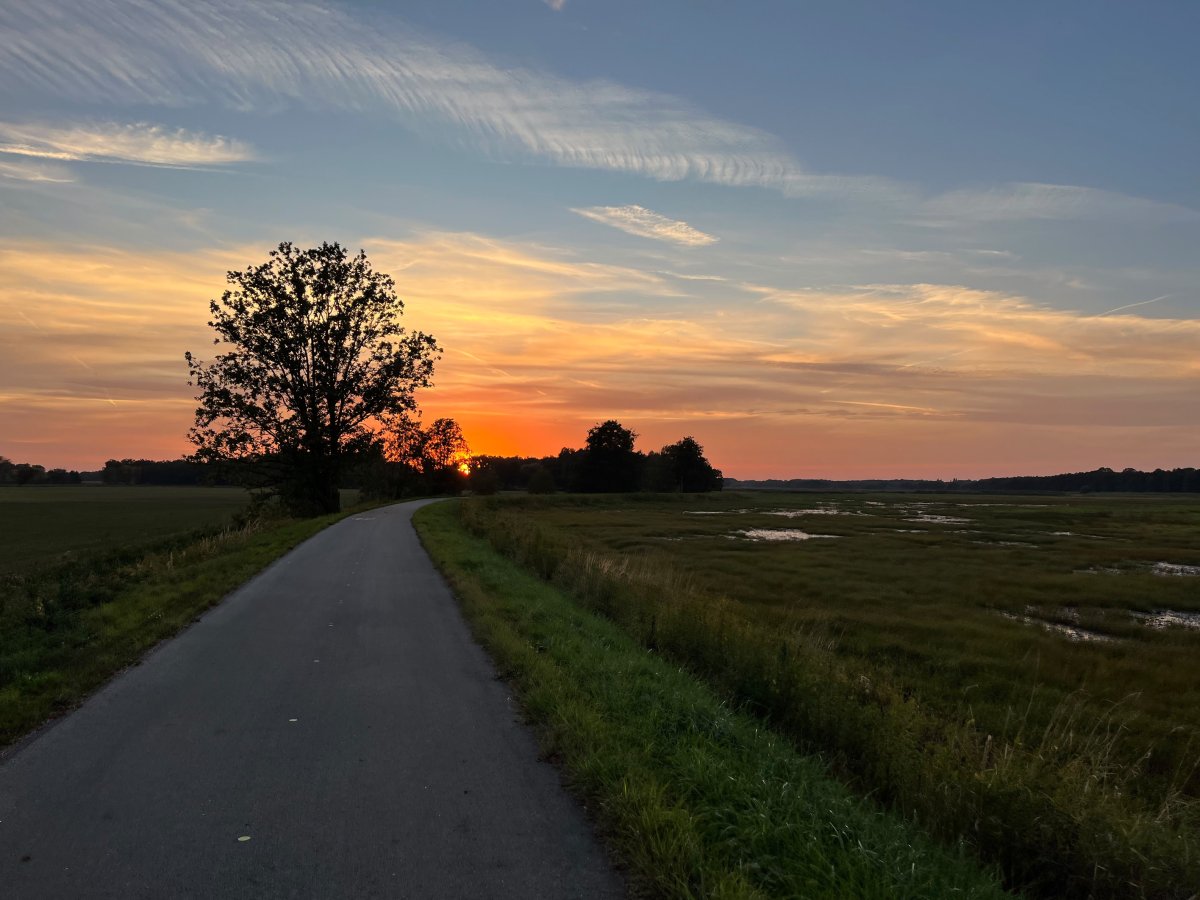 Goldener Herbst 
